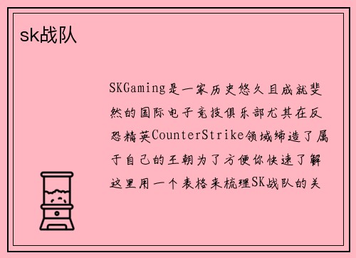 sk战队